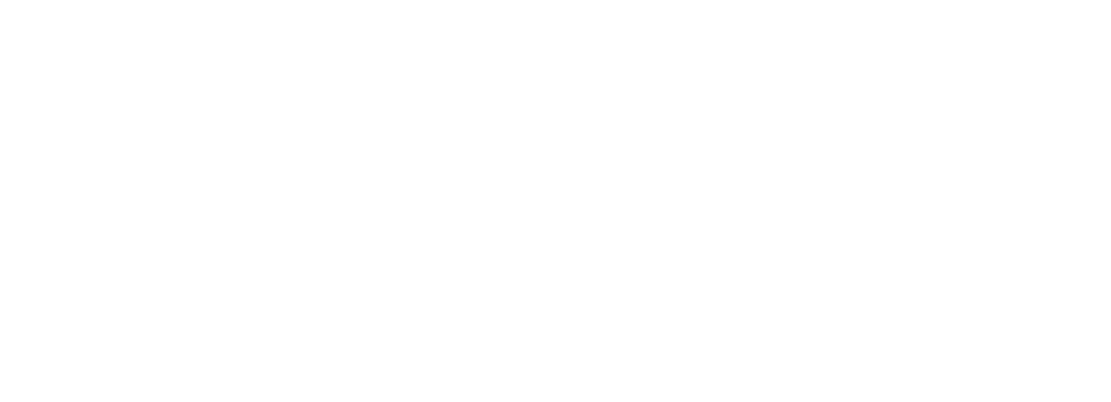 Times of India Logo